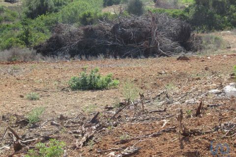 Helårsgrund i Silves, Faro, Silves - € 5.500.000 | Ref: 145206 - foto 2