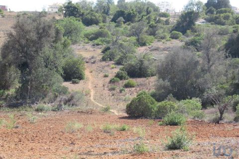 Helårsgrund i Silves, Faro, Silves - € 5.500.000 | Ref: 145206 - foto 3