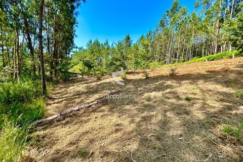 Helårsgrund i Arcos de Valdevez, Viana do Castelo, Arcos de Valdevez - € 29.000 | Ref: AV6372 - foto 1