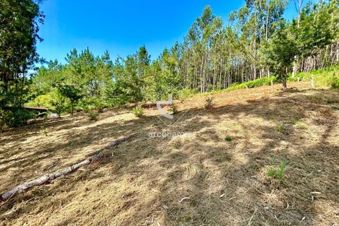 Helårsgrund i Arcos de Valdevez, Viana do Castelo, Arcos de Valdevez - € 29.000 | Ref: AV6372 - foto 2