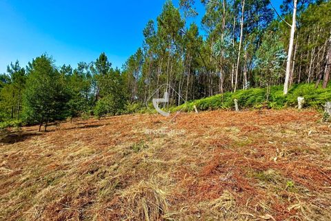 Helårsgrund i Arcos de Valdevez, Viana do Castelo, Arcos de Valdevez - € 29.000 | Ref: AV6372 - foto 3