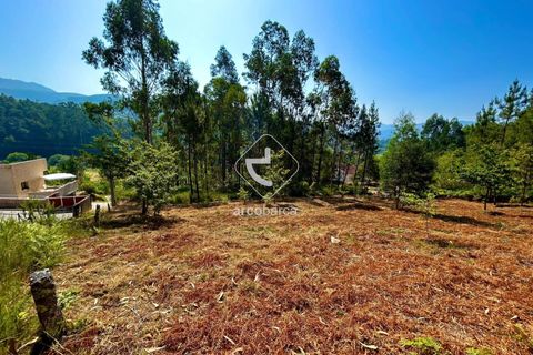 Helårsgrund i Arcos de Valdevez, Viana do Castelo, Arcos de Valdevez - € 29.000 | Ref: AV6372 - foto 4