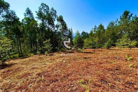 Helårsgrund i Arcos de Valdevez, Viana do Castelo, Arcos de Valdevez - € 29.000 | Ref: AV6372 - foto 5