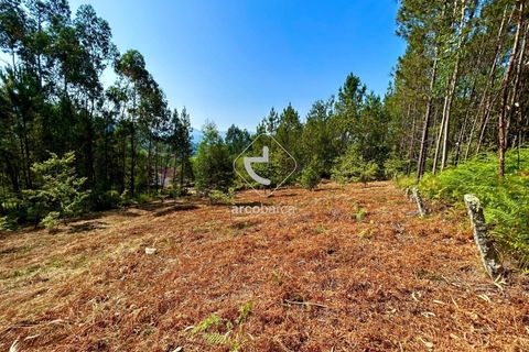 Helårsgrund i Arcos de Valdevez, Viana do Castelo, Arcos de Valdevez - € 29.000 | Ref: AV6372 - foto 6