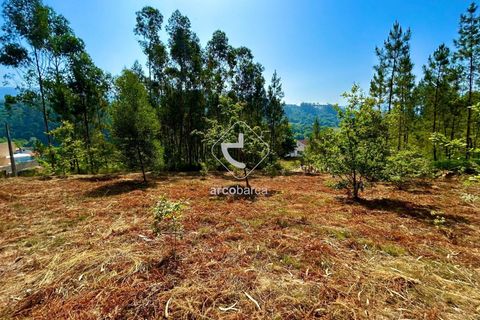 Helårsgrund i Arcos de Valdevez, Viana do Castelo, Arcos de Valdevez - € 29.000 | Ref: AV6372 - foto 7