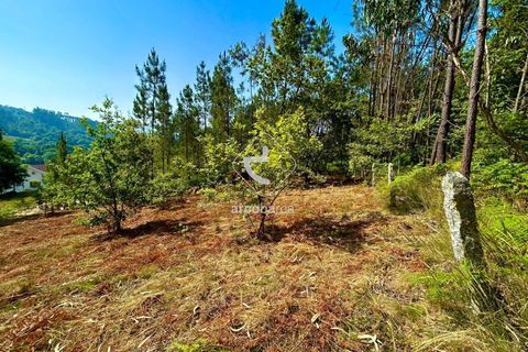 Helårsgrund i Arcos de Valdevez, Viana do Castelo, Arcos de Valdevez - € 29.000 | Ref: AV6372 - foto 8