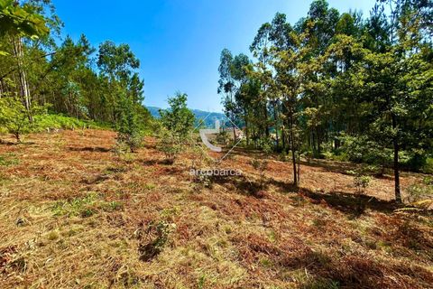 Helårsgrund i Arcos de Valdevez, Viana do Castelo, Arcos de Valdevez - € 29.000 | Ref: AV6372 - foto 9