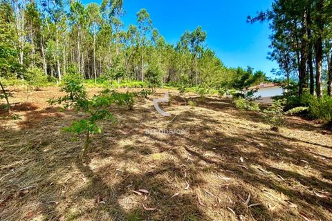 Helårsgrund i Arcos de Valdevez, Viana do Castelo, Arcos de Valdevez - € 29.000 | Ref: AV6372 - foto 10