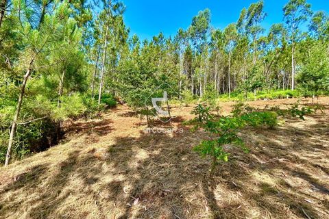 Helårsgrund i Arcos de Valdevez, Viana do Castelo, Arcos de Valdevez - € 29.000 | Ref: AV6372 - foto 11