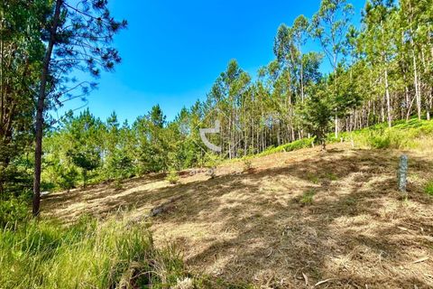 Helårsgrund i Arcos de Valdevez, Viana do Castelo, Arcos de Valdevez - € 29.000 | Ref: AV6372 - foto 12