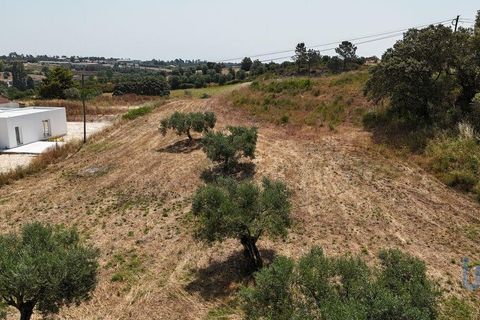 Helårsgrund i Rio Maior, Santarem, Rio Maior - € 66.000 | Ref: 145157 - foto 2