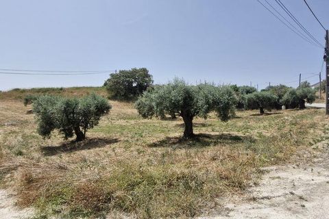 Helårsgrund i Rio Maior, Santarem, Rio Maior - € 66.000 | Ref: 145157 - foto 7