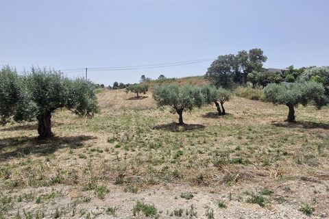 Helårsgrund i Rio Maior, Santarem, Rio Maior - € 66.000 | Ref: 145157 - foto 8