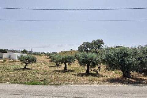 Helårsgrund i Rio Maior, Santarem, Rio Maior - € 66.000 | Ref: 145157 - foto 9