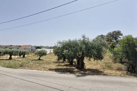 Helårsgrund i Rio Maior, Santarem, Rio Maior - € 66.000 | Ref: 145157 - foto 10