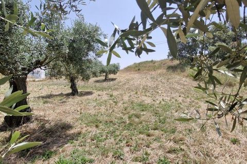 Helårsgrund i Rio Maior, Santarem, Rio Maior - € 66.000 | Ref: 145157 - foto 13