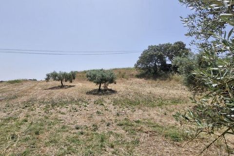 Helårsgrund i Rio Maior, Santarem, Rio Maior - € 66.000 | Ref: 145157 - foto 14