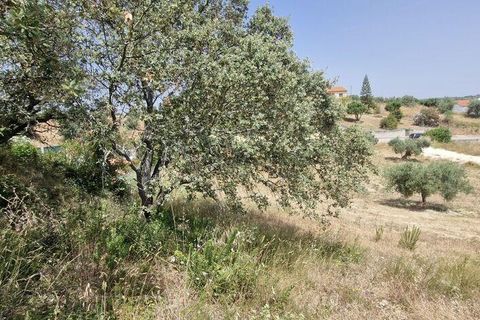 Helårsgrund i Rio Maior, Santarem, Rio Maior - € 66.000 | Ref: 145157 - foto 20