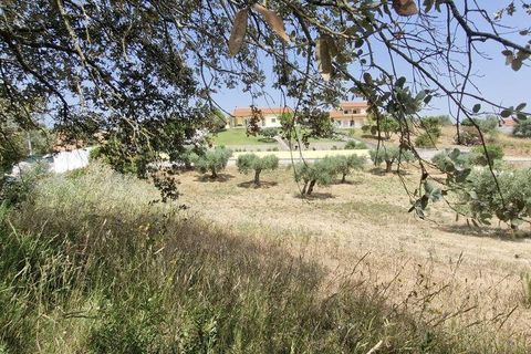 Helårsgrund i Rio Maior, Santarem, Rio Maior - € 66.000 | Ref: 145157 - foto 21