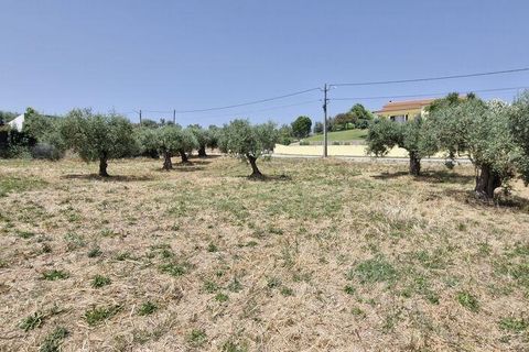 Helårsgrund i Rio Maior, Santarem, Rio Maior - € 66.000 | Ref: 145157 - foto 24
