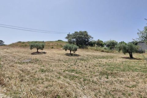Helårsgrund i Rio Maior, Santarem, Rio Maior - € 66.000 | Ref: 145157 - foto 25