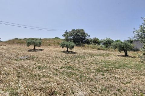 Helårsgrund i Rio Maior, Santarem, Rio Maior - € 66.000 | Ref: 145157 - foto 26