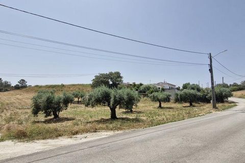 Helårsgrund i Rio Maior, Santarem, Rio Maior - € 66.000 | Ref: 145157 - foto 27