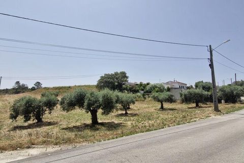 Helårsgrund i Rio Maior, Santarem, Rio Maior - € 66.000 | Ref: 145157 - foto 28