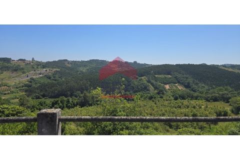 Villa i Caldas da Rainha, Leiria, Caldas da Rainha - € 190.000 | Ref: 150250142 - foto 12