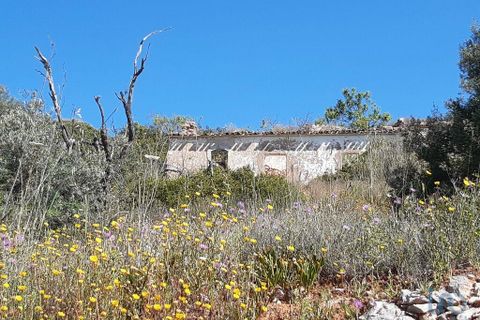 Byhus i Loule, Faro, Loule - € 350.000 | Ref: 145210 - foto 5