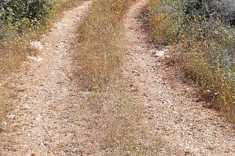 Byhus i Loule, Faro, Loule - € 350.000 | Ref: 145210 - foto 6