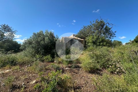 Villa i Quelfes, Faro, Quelfes - € 190.000 | Ref: 360P-1435 - foto 4