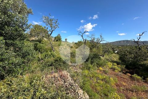 Villa i Quelfes, Faro, Quelfes - € 190.000 | Ref: 360P-1435 - foto 12