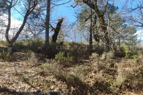 Terra a Vinhais, Braganca, Vinhais - € 15.000 | Ref: C0458-00281 - foto 5