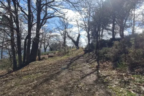 Terra a Vinhais, Braganca, Vinhais - € 15.000 | Ref: C0458-00281 - foto 9