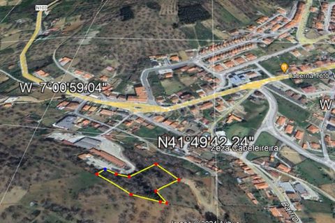Terra a Vinhais, Braganca, Vinhais - € 15.000 | Ref: C0458-00281 - foto 12