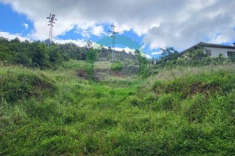 Terra a Vinhais, Braganca, Vinhais - € 20.000 | Ref: C0458-00493 - foto 3