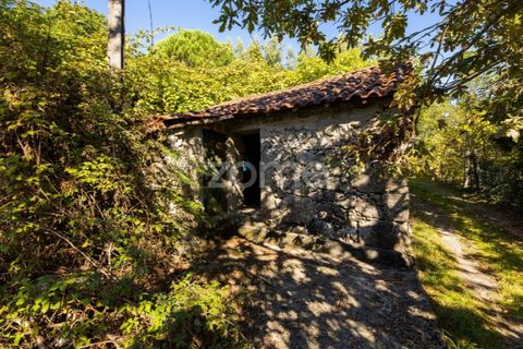 Villa a Tabuacas, Braga, Tabuacas - € 35.000 | Ref: ZMPT578485 - foto 2
