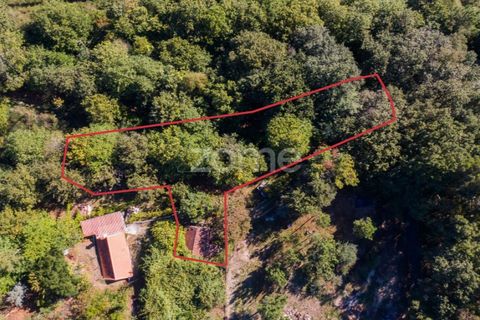 Villa a Tabuacas, Braga, Tabuacas - € 35.000 | Ref: ZMPT578485 - foto 3