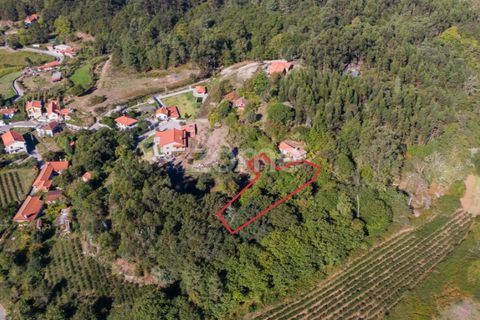 Villa a Tabuacas, Braga, Tabuacas - € 35.000 | Ref: ZMPT578485 - foto 4