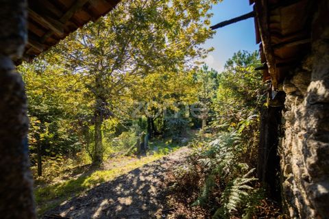 Villa a Tabuacas, Braga, Tabuacas - € 35.000 | Ref: ZMPT578485 - foto 8