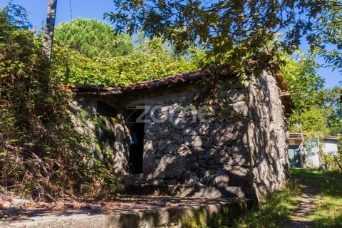 Villa a Tabuacas, Braga, Tabuacas - € 35.000 | Ref: ZMPT578485 - foto 9