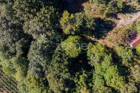 Villa a Tabuacas, Braga, Tabuacas - € 35.000 | Ref: ZMPT578485 - foto 17