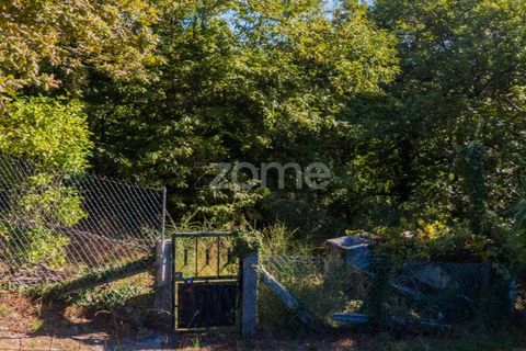 Villa a Tabuacas, Braga, Tabuacas - € 35.000 | Ref: ZMPT578485 - foto 19