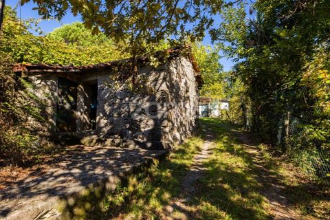Villa a Tabuacas, Braga, Tabuacas - € 35.000 | Ref: ZMPT578485 - foto 5