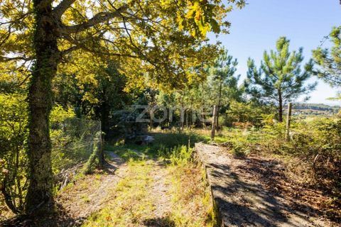 Villa a Tabuacas, Braga, Tabuacas - € 35.000 | Ref: ZMPT578485 - foto 13