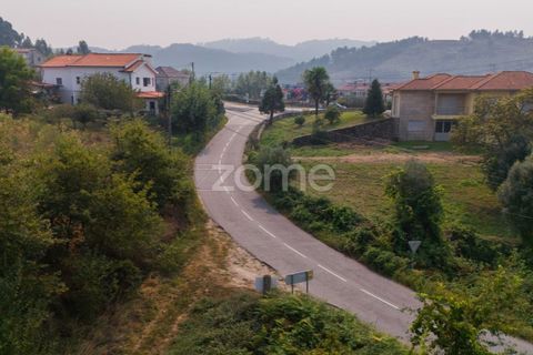 Terra a Tabuacas, Braga, Tabuacas - € 160.000 | Ref: ZMPT578482 - foto 7