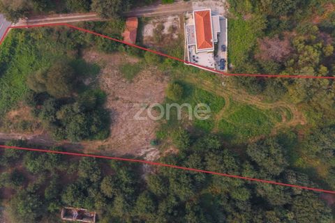 Terra a Tabuacas, Braga, Tabuacas - € 160.000 | Ref: ZMPT578482 - foto 3