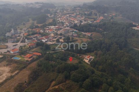 Terra a Tabuacas, Braga, Tabuacas - € 160.000 | Ref: ZMPT578482 - foto 4