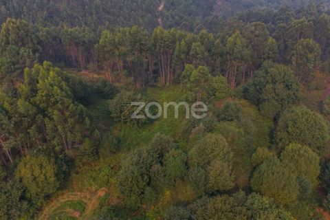 Terra a Tabuacas, Braga, Tabuacas - € 160.000 | Ref: ZMPT578482 - foto 5